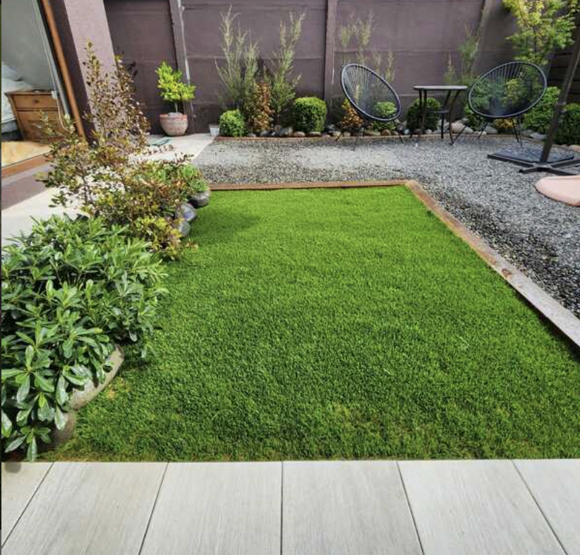 luxury garden grass